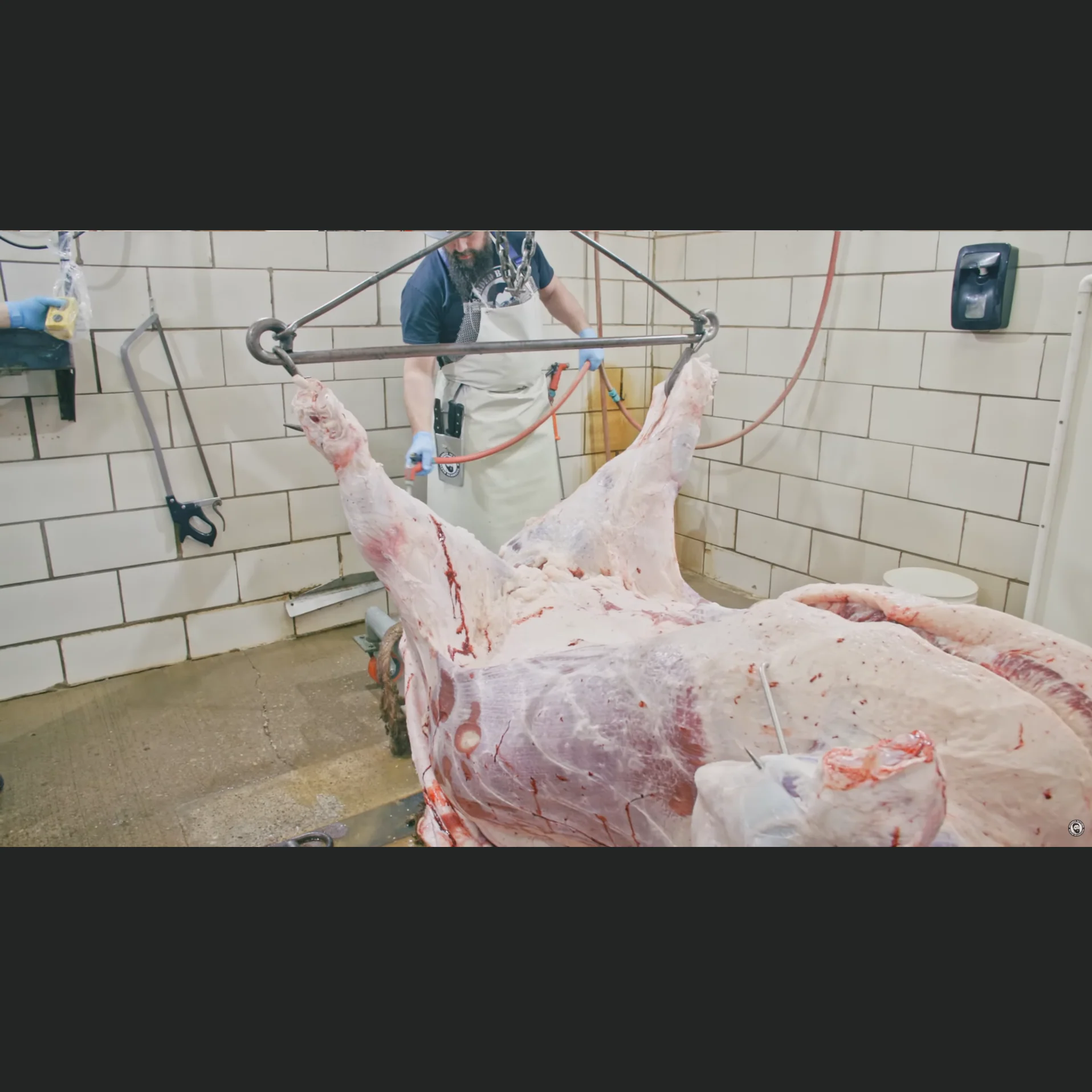 Step by Step Guide to Commercial Beef Slaughtering – Full Video Course - Image 5