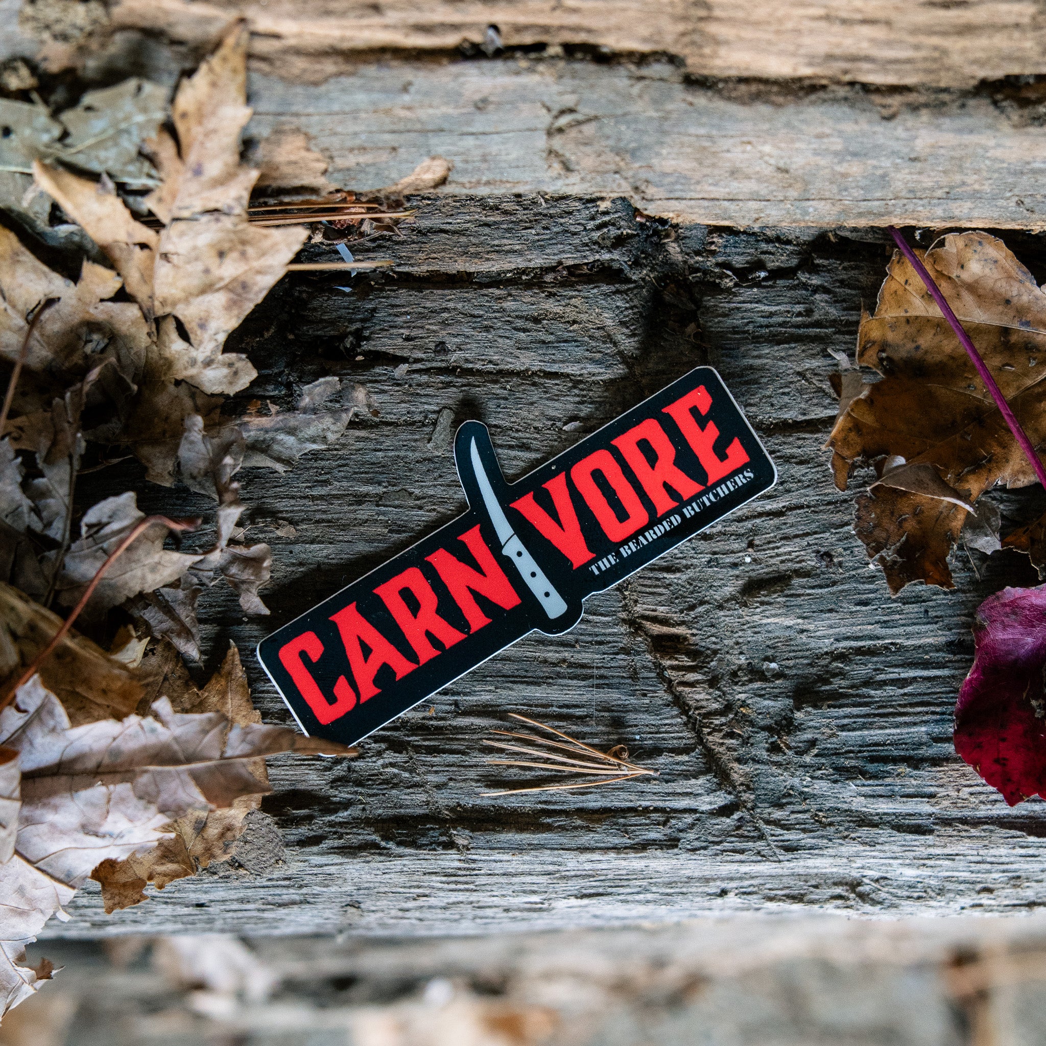 Carnivore Sticker 3.5" - Image 2