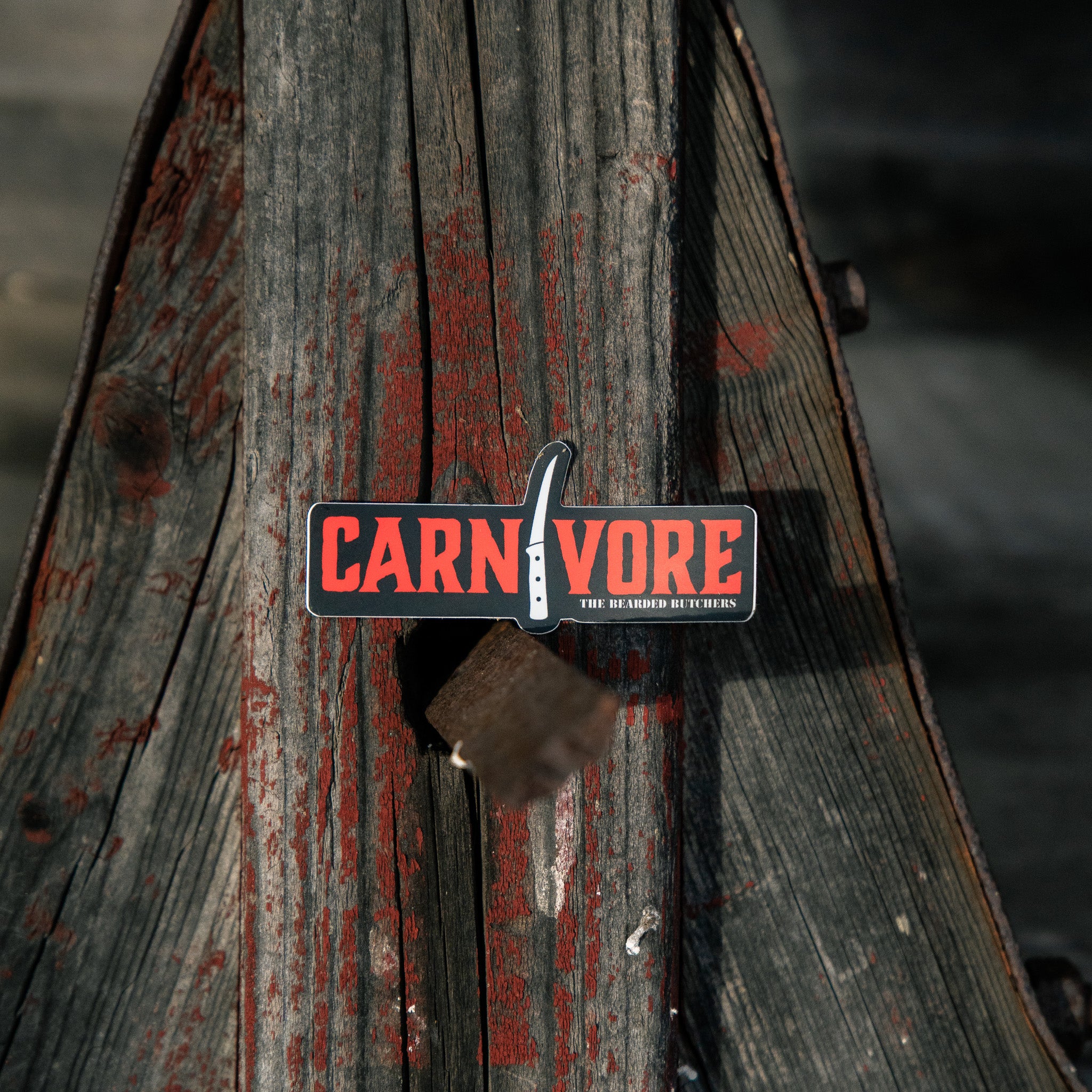 Carnivore Sticker 3.5" - Image 3